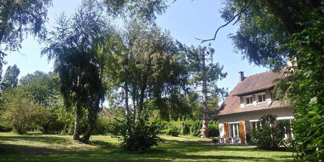 Villa - Coulommiers - Parcs Des Felins - Provins Beautheil-Saints Exterior photo