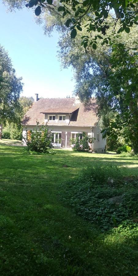 Villa - Coulommiers - Parcs Des Felins - Provins Beautheil-Saints Exterior photo